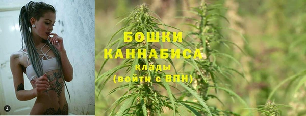 молекула духа Лабытнанги
