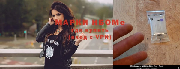 молекула духа Лабытнанги