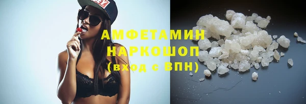 индика Почеп