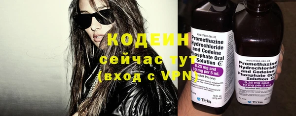 молекула духа Лабытнанги
